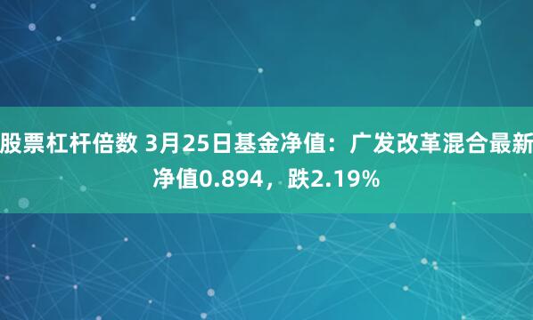 股票杠杆倍数 3月25日基金净值：广发改革混合最新净值0.894，跌2.19%
