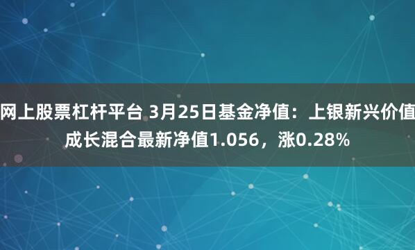 网上股票杠杆平台 3月25日基金净值：上银新兴价值成长混合最新净值1.056，涨0.28%