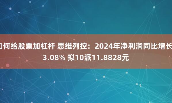 如何给股票加杠杆 思维列控：2024年净利润同比增长33.08% 拟10派11.8828元