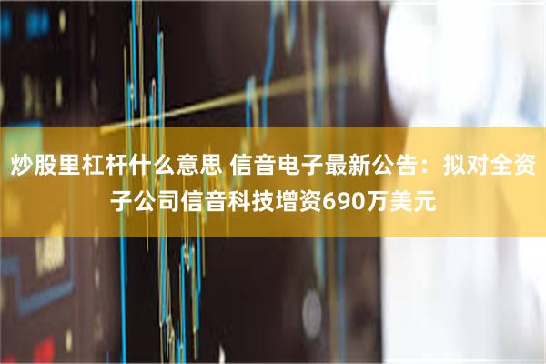 炒股里杠杆什么意思 信音电子最新公告：拟对全资子公司信音科技增资690万美元