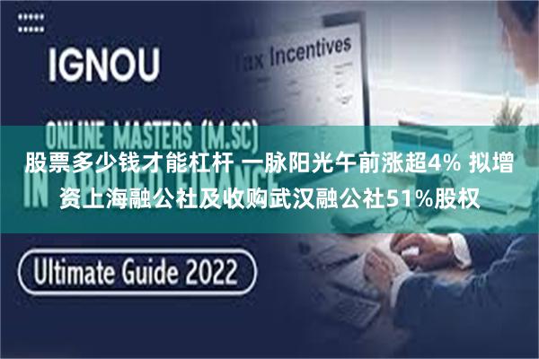 股票多少钱才能杠杆 一脉阳光午前涨超4% 拟增资上海融公社及收购武汉融公社51%股权