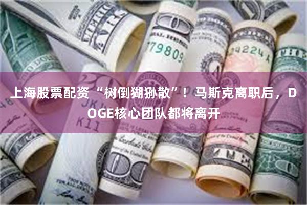 上海股票配资 “树倒猢狲散”！马斯克离职后，DOGE核心团队都将离开