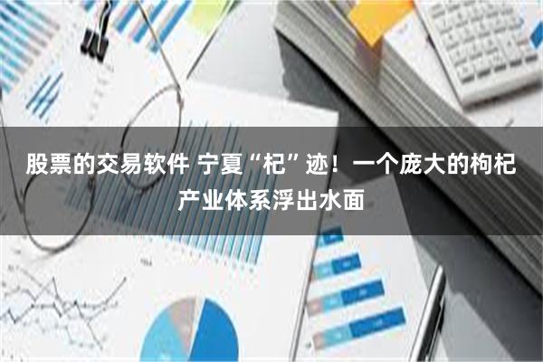 股票的交易软件 宁夏“杞”迹！一个庞大的枸杞产业体系浮出水面