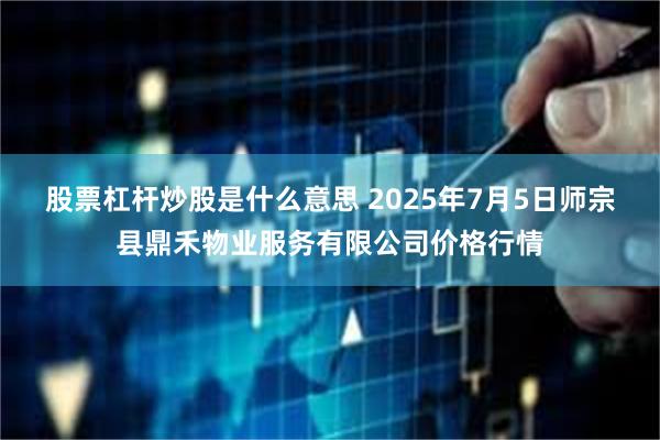 股票杠杆炒股是什么意思 2025年7月5日师宗县鼎禾物业服务有限公司价格行情