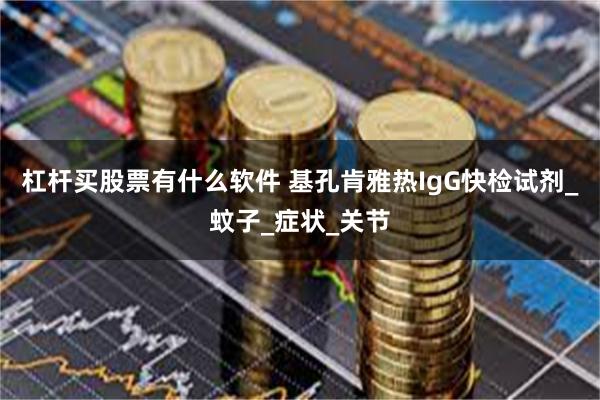 杠杆买股票有什么软件 基孔肯雅热IgG快检试剂_蚊子_症状_关节