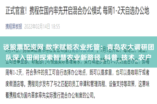 谈股票配资网 数字赋能农业托管：青岛农大调研团队深入田间探索智慧农业新路径_科普_技术_农户