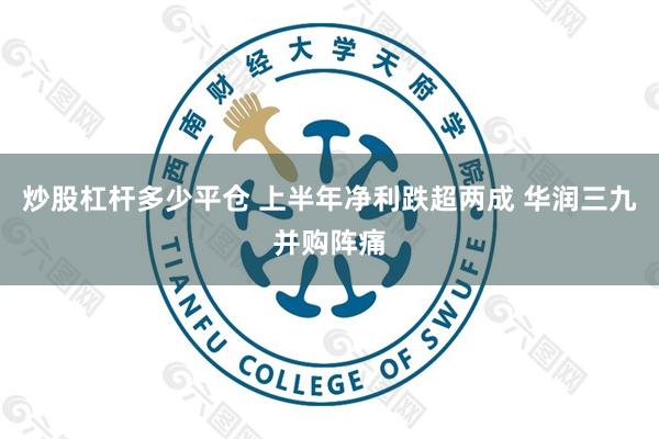 炒股杠杆多少平仓 上半年净利跌超两成 华润三九并购阵痛